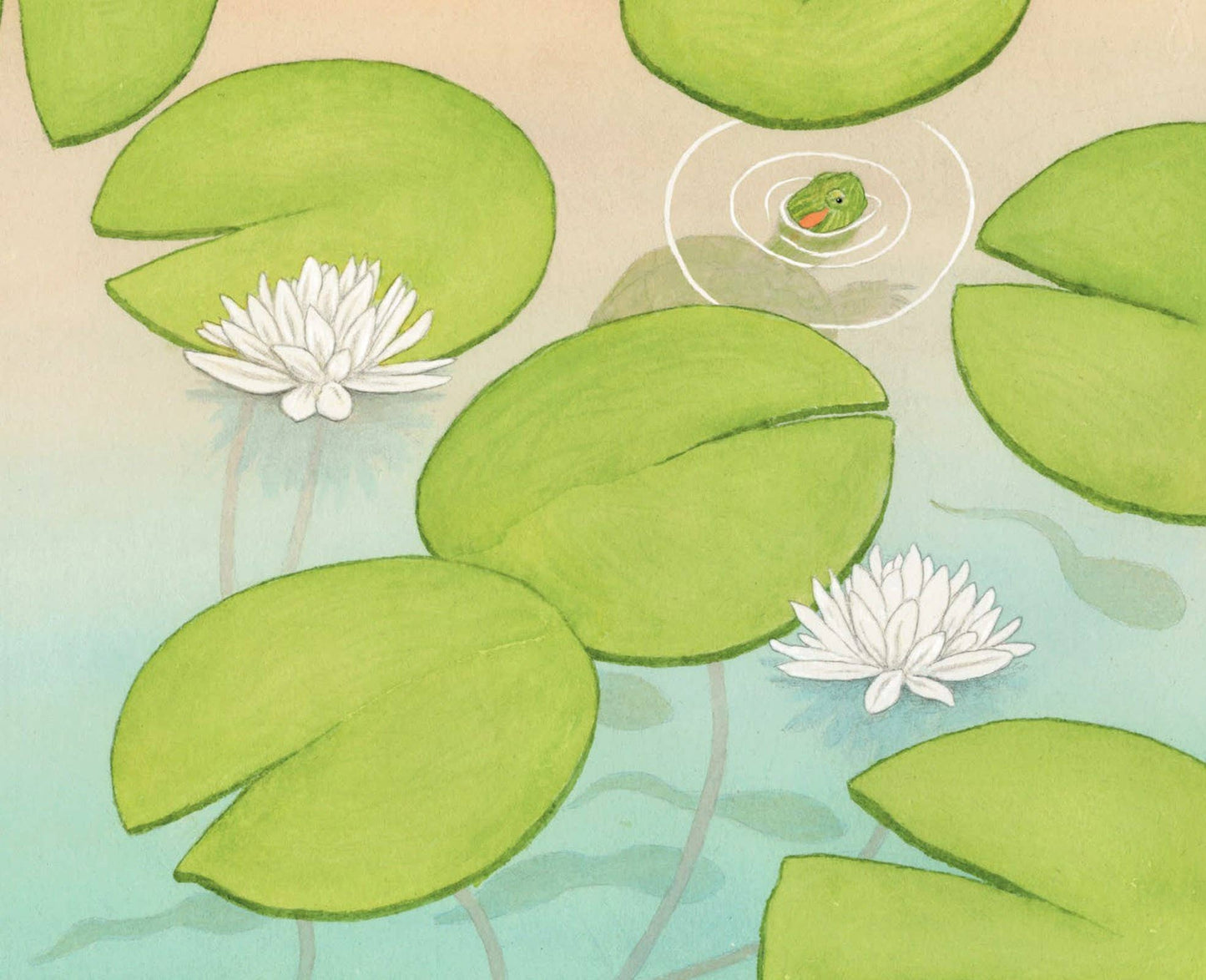 On Duck Pond